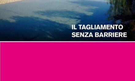 Il Tagliamento Senza Barriere