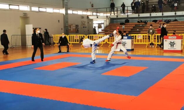 KARATE: oro e argento 3 meravigliose e preziose medaglie.